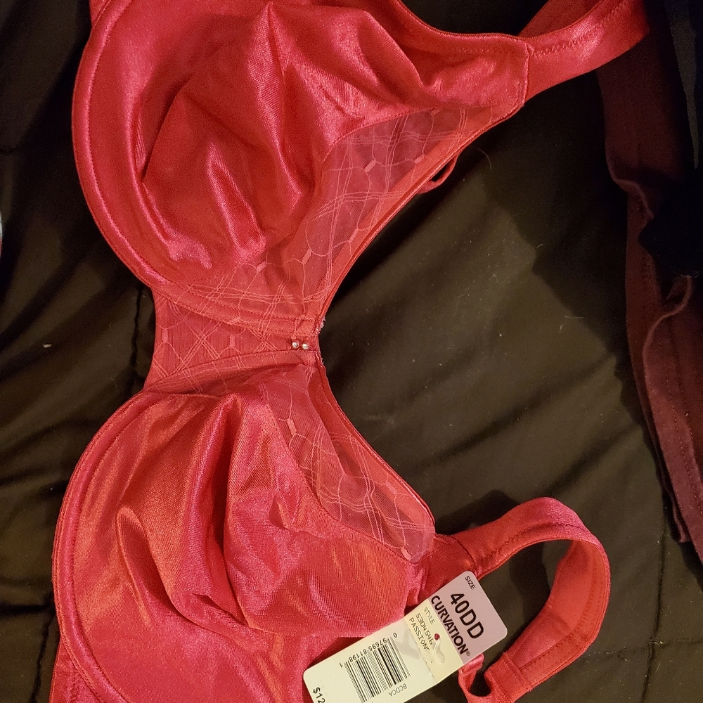 Curvation bra
